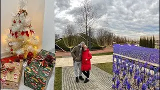 Приезд родителей. Предновогодняя домашняя суета. VLOG!