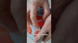Мыло банка солений