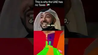 Why The UAE Has No Taxes