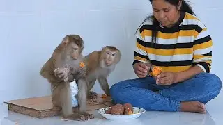 Mommy Luna Cares Tiny Valen And Eating Boiled Potato With Little Olly