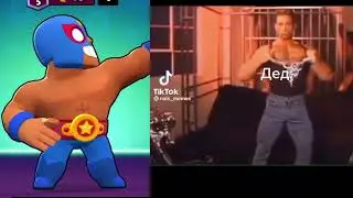 Эльпримо данжен мастер