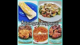 5 блюд из 1 курицы. Простые, вкусные блюда.
