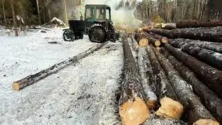 Стоит ли так делать? Валка леса! Опасная ситуация!!!