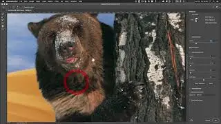 Refining Selections and Masks for Compositing V3
