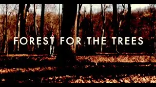 Forest For The Trees | Reflective Short