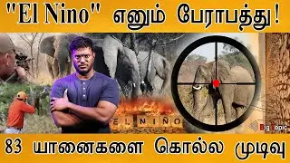 🐘 El Nino எனும் உலக பேராபத்து! | தீர்க்கதரிசனம் பலித்தது! | Namibia to Cull Over 700 Wild Animals