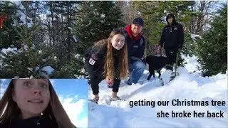 getting our Christmas tree with the family, my mom fell and broke her back