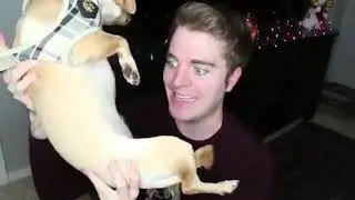 People Attack Shane Dawson for Getting Engaged, More About the Cat Situation-pTyeaxp4lqk.mp4