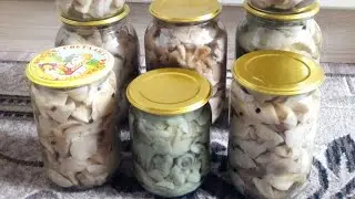 Луговые грибы в пойме реки Оки, autumn mushroom picking, Осенний сбор грибов подотавников
