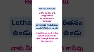 English meanings with example sentences 