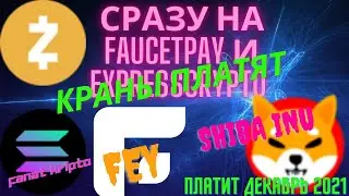Жирные краны без сокращенных силок, Краны FEY SHIBA ZEC SOL