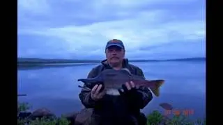 рыбалка на Йоканьгском озере август 2015