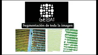 Extracción y conteo de hileras y plantas con GeoAI QGIS Plugin