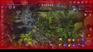 Is this MIR4 Warrior cheating or just lag?