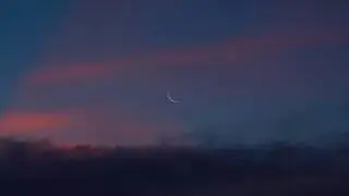 Chillstep | Sappheiros - Dusk