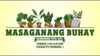 MASAGANANG BUHAY | APRIL 7, 2023
