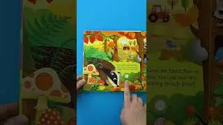 Usborne Sound Books | Seasons Sounds 🌈☂️