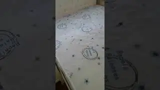 Асимус отзыв-2