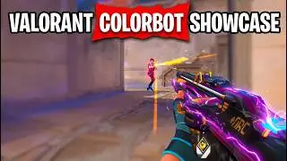 The Only Valorant Colorbot You Need in 2026... Showcase INSANE !