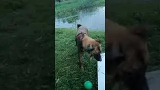 Фиона