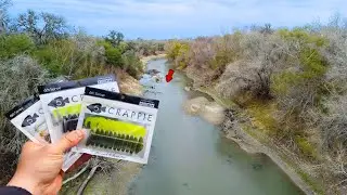 The WHITE BASS Run is HERE! (Nueces River, TX)