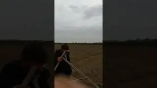 посадка Фацелии в Чечне