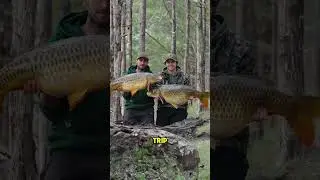 THE BEST CARP LAKE IN AMERICA!