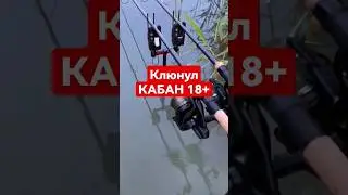 18+кг карп, поклевка 
