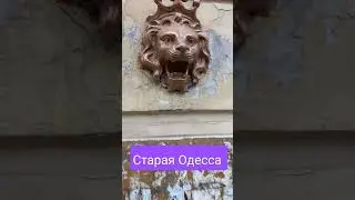 СТАРУШКА ОДЕССА МАМА. 