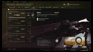 CoD Warzone - All weapons level max