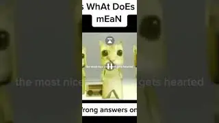 the most nicest comment gets hearted