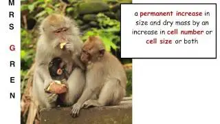 1.  what are the characteristics of living organisms? Ms Cooper