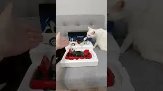 Долгожданная Обнова спустя Год и 12 дней ожиданий. 