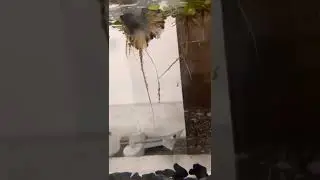 Beta tank