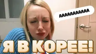 Корея / Сеул VLOG #1: И зачем мы сюда приехали? Как не опоздать на самолет? ✈️
