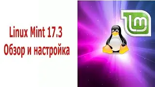 Linux Mint 17.3 Overview and setting after installation