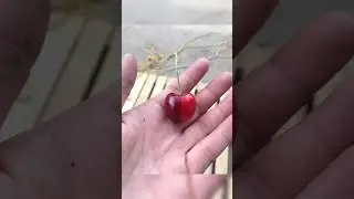 Perfect satisfying photos…🥹 