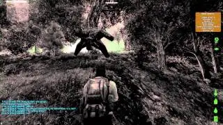 DayZ - OH GOD OH WHAT OH GOD