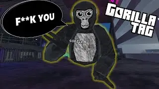 The Typical Gorilla Tag Experience...