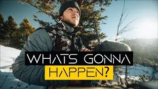 What I've been up to......