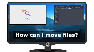 How Do I Transfer Files from Virtual Machine to Host PC?