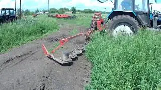 We mow hay with the mower 