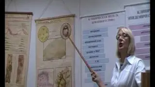 Коваленко Анна Петровна - диагностика и принципы лечения брюшного тифа 2015 г