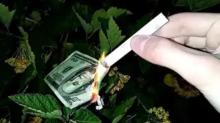 $Прикуриваю шмаль от ста долларов$