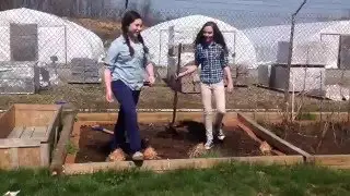 Farm to Table Fiasco