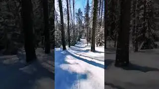 Красивый спуск на лыжах