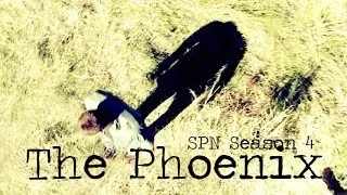 Supernatural || The Phoenix [Season 4]