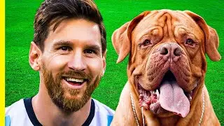 Les Animaux de Compagnie des Footballeurs
