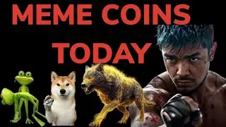 Memecoins today : 