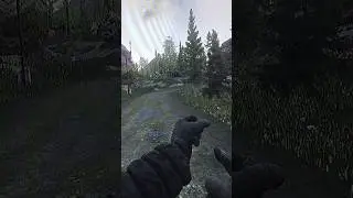 всех застрелю #tarkov #bear #usec